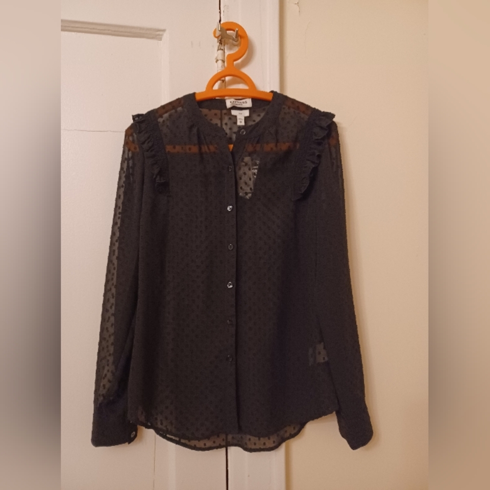 Express Black Sheer Button-Down Blouse